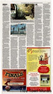 wallsofwondernew-171x300